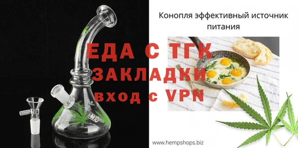 молекула духа Вяземский