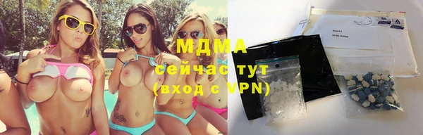 молекула духа Вяземский