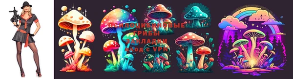 молекула духа Вяземский