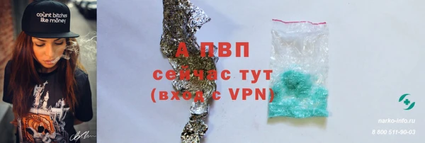 a pvp Тайга