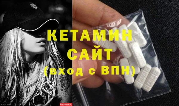 молекула духа Вяземский