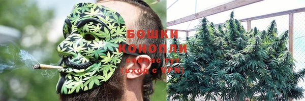 spice Володарск