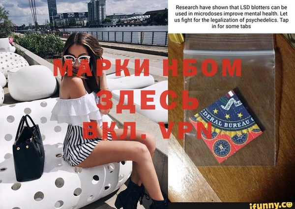 молекула духа Вяземский