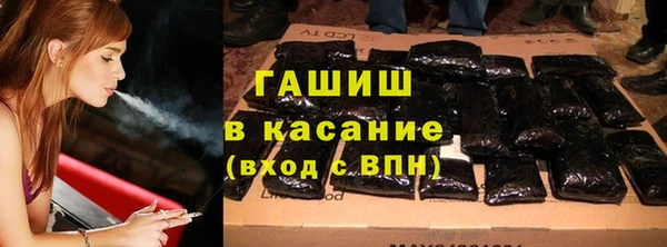 молекула духа Вяземский